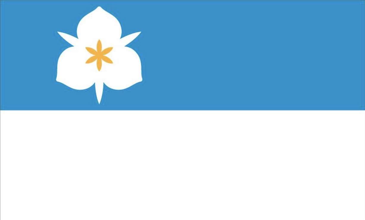The final design for a new Salt Lake City flag submitted to Salt Lake City Council for consideration on Thursday, Sept. 24, 2020. The flag was designed by Arianna Meinking and Ella Kennedy-Yoon.