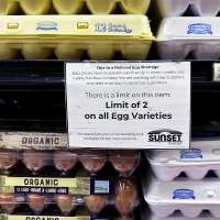 Egg prices continue to hit records as Easter and Passover approach; some relief may come