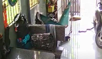 Have You Seen This? You can't share the hammock with a cobra