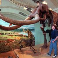 'It became this really cool thing': Utah's long history with mammoths